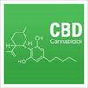 Hemp CBD vs. Cannabis CBD